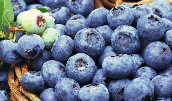 蓝莓一天吃多少为宜