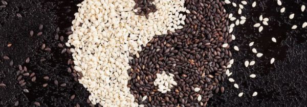 芝麻怎么打粉不成坨