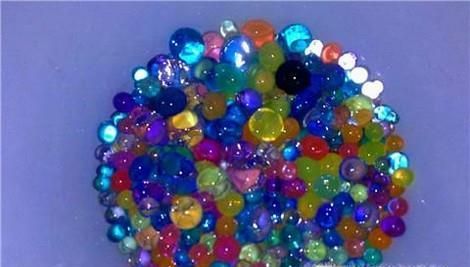 生长豆怎么养最快长大