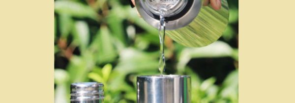 保温杯可以泡菊花吗