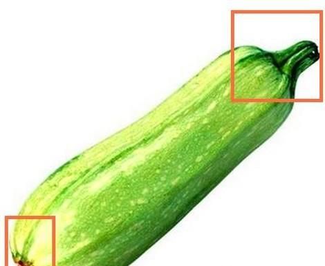 老年人怎样用刀切出均匀的西葫芦片