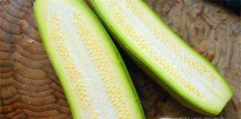 老年人怎样用刀切出均匀的西葫芦片