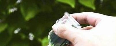 如何应对半夜被蚊子咬醒