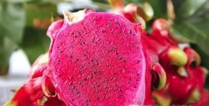 火龙果的去皮和挑选技巧