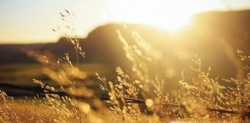 拍照小窍门，如何拍照更美