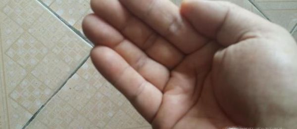 如何不用刀开罐头