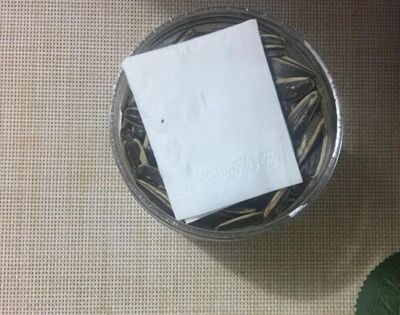 瓜子受潮不好吃了怎么办?