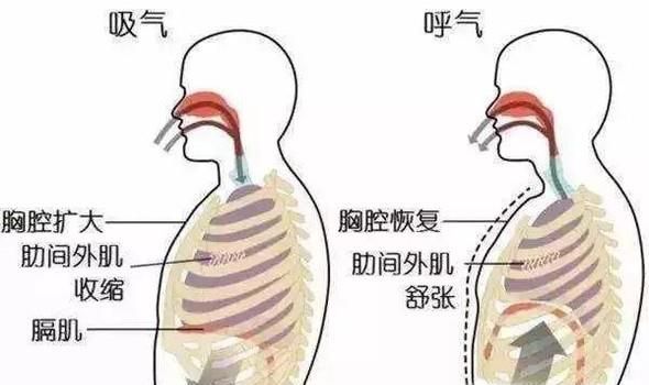 如何练习吹陶笛