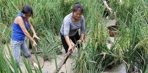 捉鱼经验谈:如何选择捉鱼的环境和工具