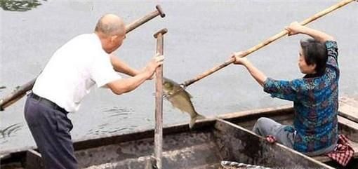 捉鱼经验谈:如何选择捉鱼的环境和工具