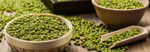 酸奶可以和绿豆一起吃吗