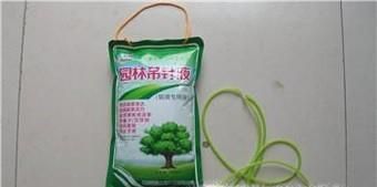 怎样把芋头水培成绿植