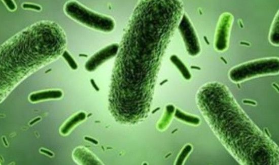 馒头有霉点了还能吃吗