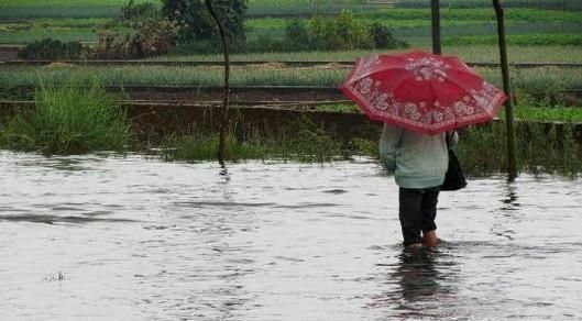 雨天外出如何防止触电?牢记八点远离触电危险!