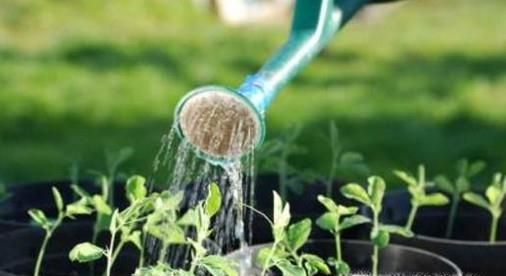 日常生活中降低室内污染的小技巧有哪些？