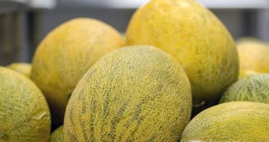 哈密瓜的功效和作用有哪些？如果挑选哈密瓜