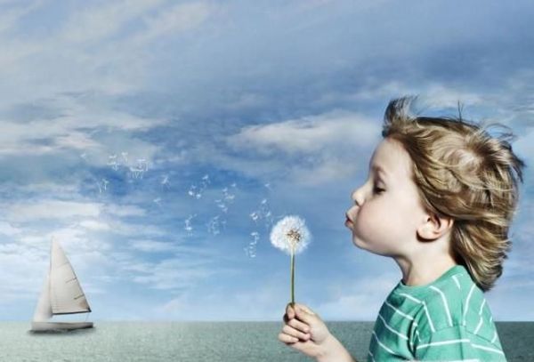 如何拼尽全力去追寻自己的梦想？