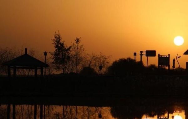 如何拼尽全力去追寻自己的梦想？