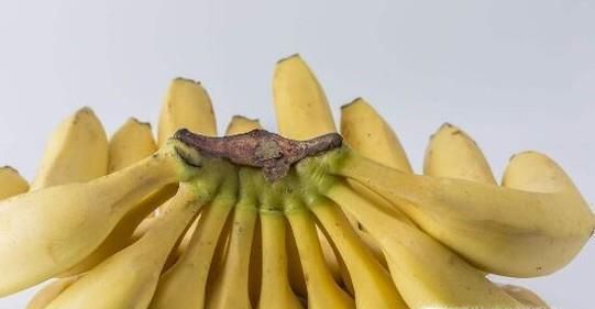 最适合夏天吃的水果有哪些