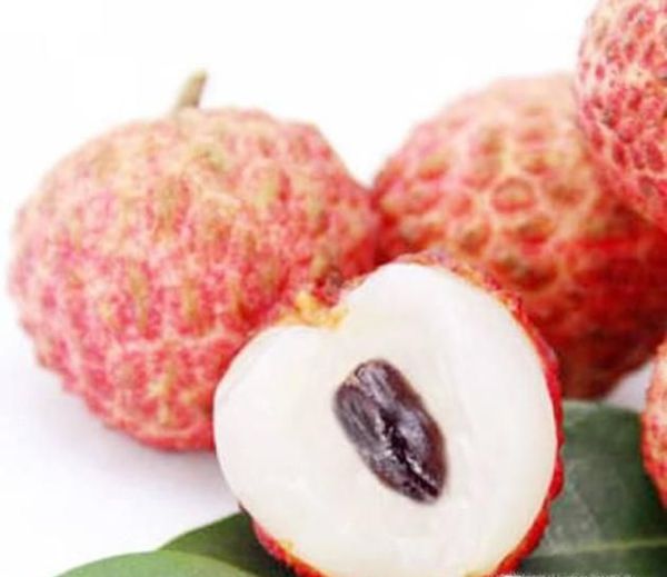 海南妃子笑荔枝营养价值