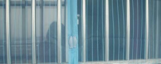 雨天很多大水蚁怎么办 雨天如何对付黄翅大白蚁