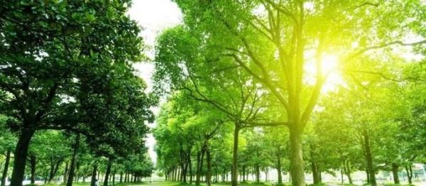 辨别方向的常识