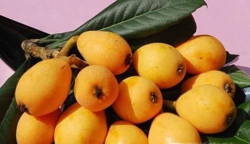 吃枇杷果有什么好处及禁忌？