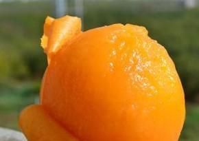 吃枇杷果有什么好处及禁忌？