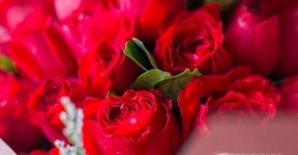 和送花有关的艺术