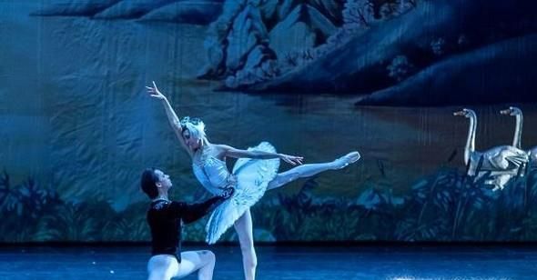 如何做一只优秀的单身狗