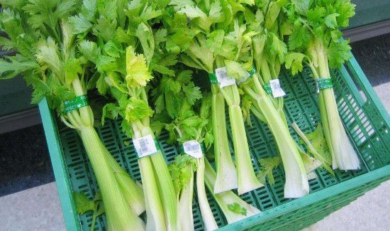 芹菜和土豆能一起吃吗