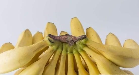 哪些水果是碱性水果