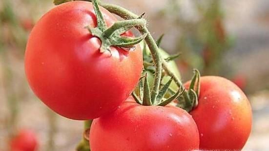 哪些水果是碱性水果