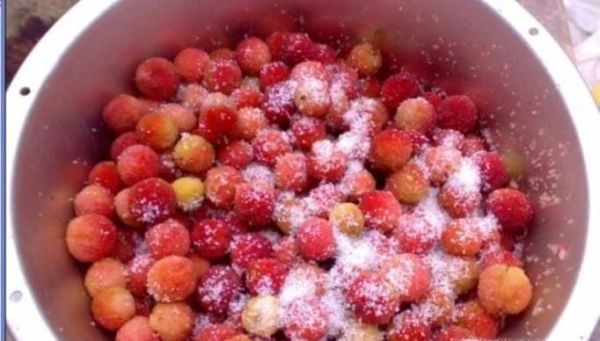 如何自己在家做杨梅干