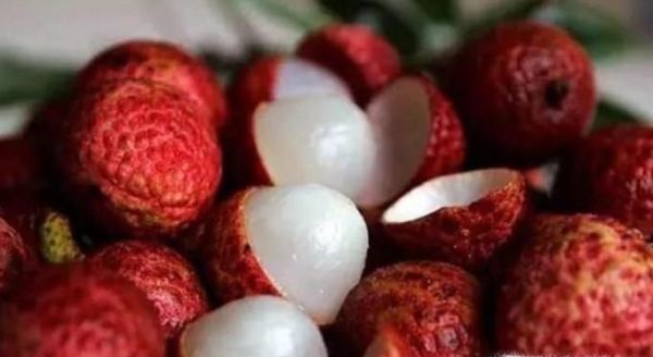 荔枝能不能多吃