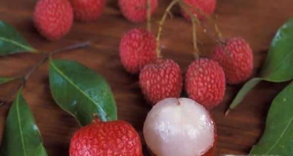 荔枝能不能多吃