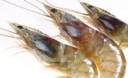 如何快速去虾线？