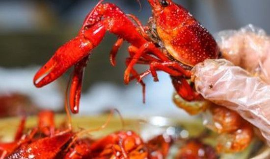 桑葚和小龙虾能一起吃吗