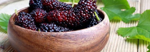 桑葚和小龙虾能一起吃吗