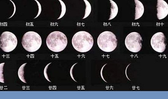 阴历还是阳历怎么看