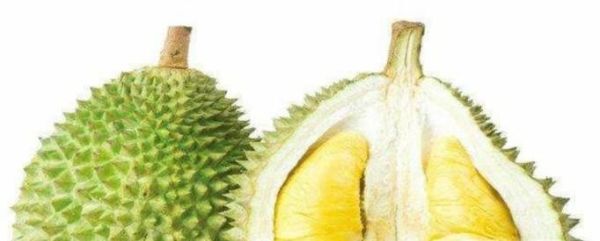 如何辨别猫山王的真假