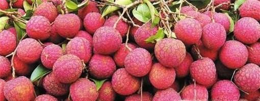 夏天吃荔枝的好处与食用禁忌