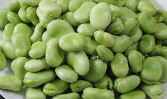 怎样保存蚕豆到冬天