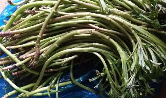 芦蒿不能和什么一起吃