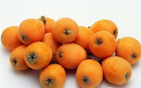 吃枇杷的好处与注意事项