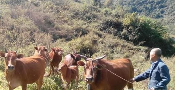 地震来临前有什么预兆