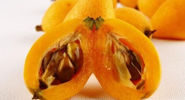 吃枇杷的好处与注意事项