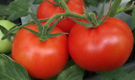 鸡蛋没煮熟怎么补救