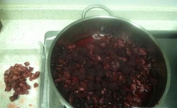 杨梅种子怎么种盆栽