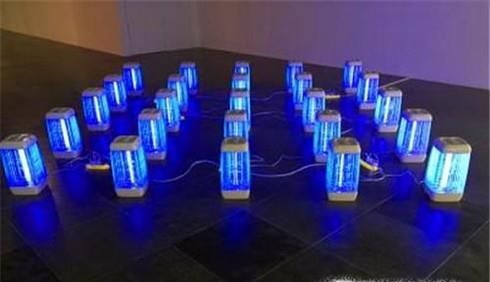 夏天如何防治成群结队的飞蚁？